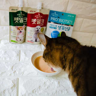 [빙그레] 에버그로 생유산균 1봉（10포입）+펫밀크2팩 — 5점을 준 리뷰어가 2019년 5월 올린 사용 사진