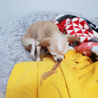 유진오님이 올린 리뷰 사진 2