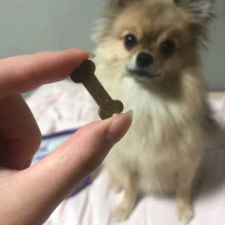 Ariel님이 올린 리뷰 사진 2