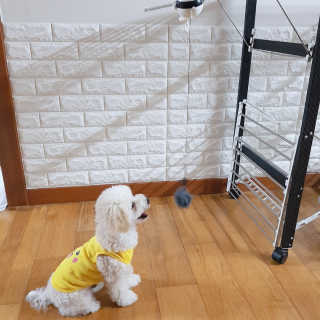 민동2님이 올린 리뷰 사진 3