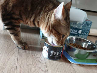 김지현님이 올린 리뷰 사진 3