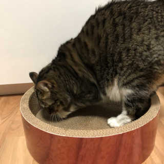 주라님이 올린 리뷰 사진 3