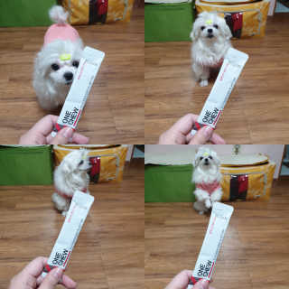 펫프렌즈 생고기가 한봉지 가득 원츄 50g — 2점을 준 리뷰어가 2020년 1월 올린 사용 사진