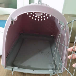 안뇽안뇽님이 올린 리뷰 사진 2