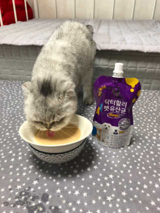 닥터할리펫밀크 8종 — 5점을 준 리뷰어가 2018년 10월 올린 사용 사진