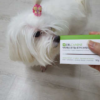냥아치들님이 올린 리뷰 사진 1