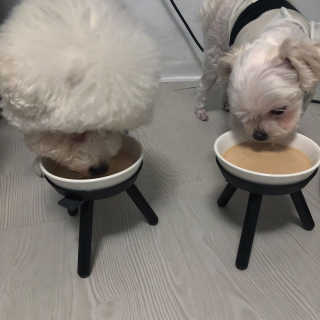 지아님이 올린 리뷰 사진 2