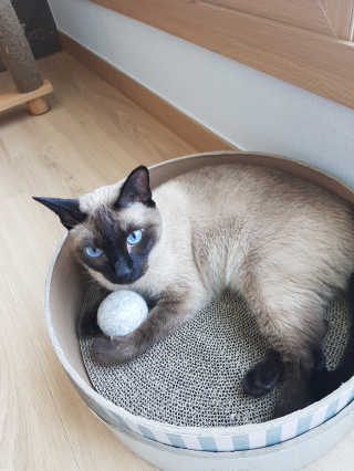 사키나이리님이 올린 리뷰 사진 1