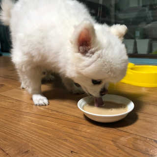 여름님이 올린 리뷰 사진 2
