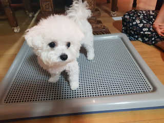 홍차님이 올린 리뷰 사진 2