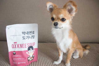 감자야산책가자님이 올린 리뷰 사진 1