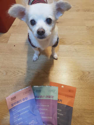 푸디웜 주식회사 [푸디웜] 강아지 저알러지 수제간식 3종세트 — 5점을 준 리뷰어가 2018년 11월 올린 사용 사진