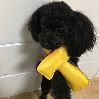 JiyoungLee님이 올린 리뷰 사진 1