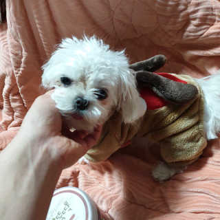 초밥님이 올린 리뷰 사진 2