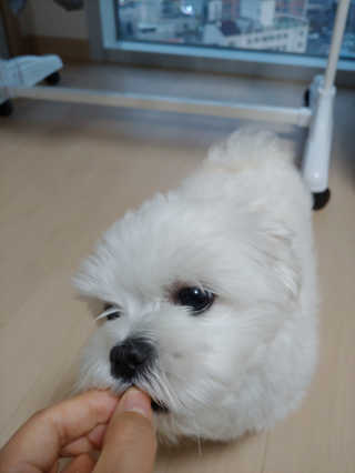 또덩님이 올린 리뷰 사진 2