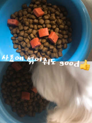 짓우님이 올린 리뷰 사진 2