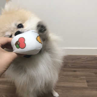 율무링님이 올린 리뷰 사진 1