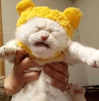 윰이님이 올린 리뷰 사진 3