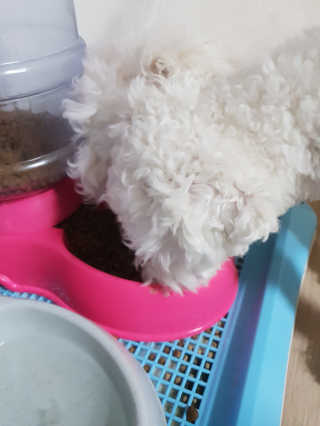 나님a님이 올린 리뷰 사진 1