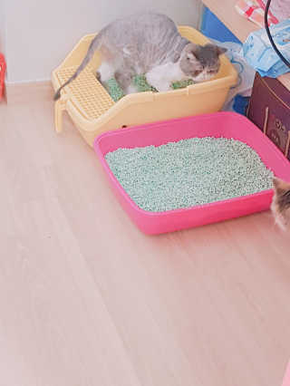 엘카몬님이 올린 리뷰 사진 2