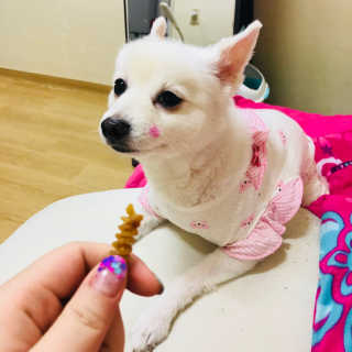 석가모뉘님이 올린 리뷰 사진 4