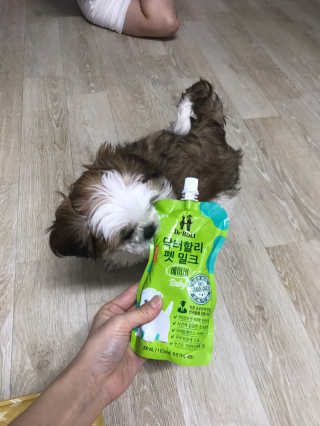 닥터할리펫밀크 8종 — 5점을 준 리뷰어가 2019년 11월 올린 사용 사진