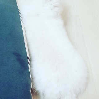 공팔순이님이 올린 리뷰 사진 4
