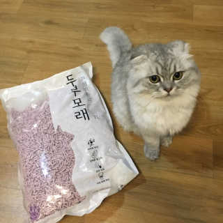 hyoju098님이 올린 리뷰 사진 3