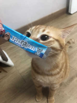 김구슬님이 올린 리뷰 사진 2