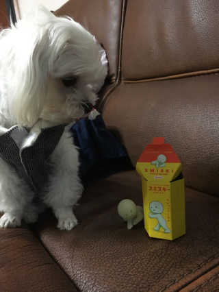 박은비님이 올린 리뷰 사진 2