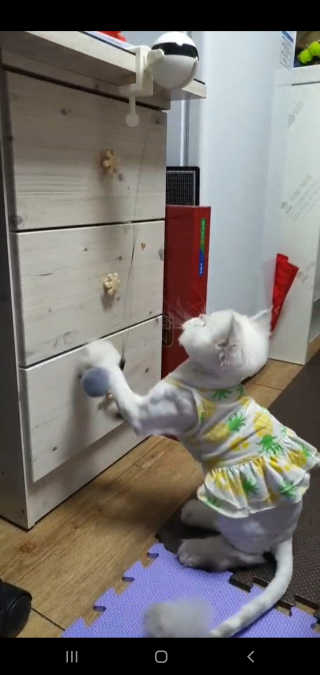 곽재련님이 올린 리뷰 사진 2