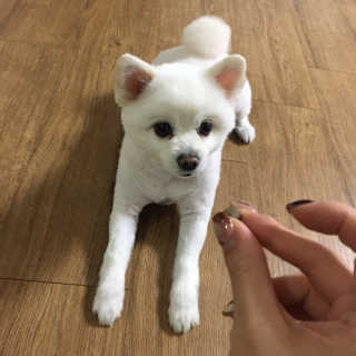 찌님이 올린 리뷰 사진 2