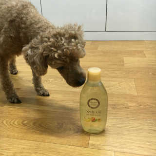 김수진님이 올린 리뷰 사진 2