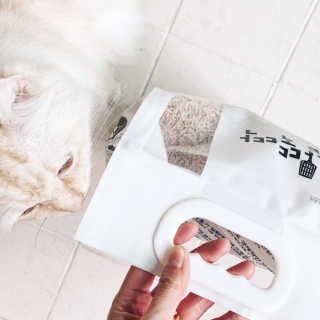 [펫토리아]한삽뚝딱 프리미엄 고양이 두부모래 — 5점을 준 리뷰어가 2019년 8월 올린 사용 사진