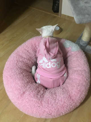 꽃보다팬더님이 올린 리뷰 사진 2