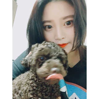 코덕 코스메틱 벨벳 시크 립라커 — 4.33점을 준 리뷰어가 2017년 5월 올린 사용 사진