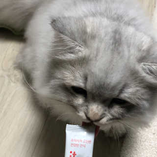 쩨리님이 올린 리뷰 사진 3