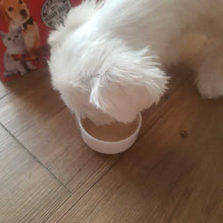 뽀오오옹님이 올린 리뷰 사진 3