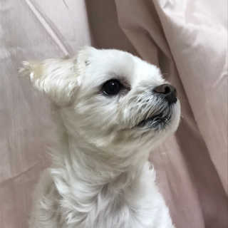 🦄행운의여신유니콩🦄님이 올린 리뷰 사진 3