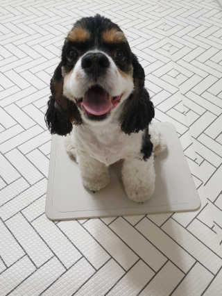 모니카님이 올린 리뷰 사진 2