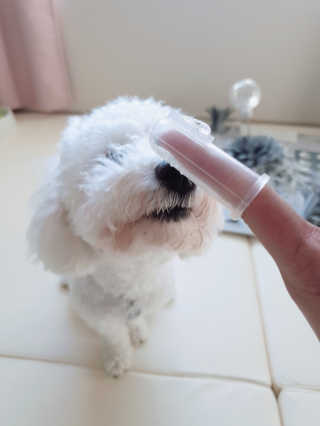 쁘닝공주님이 올린 리뷰 사진 2