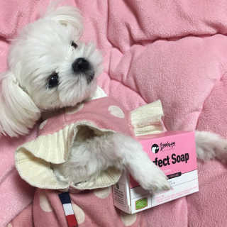 마이욱님이 올린 리뷰 사진 1