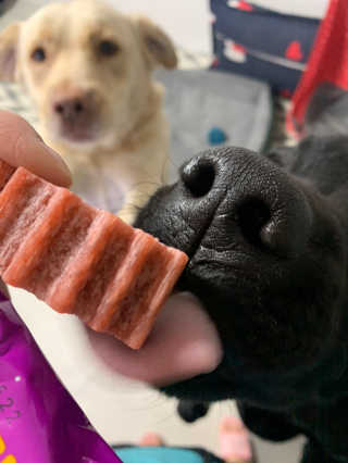 이지닝님이 올린 리뷰 사진 2