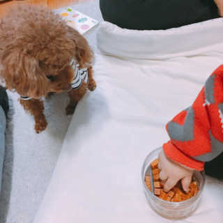 한나뿡님이 올린 리뷰 사진 3