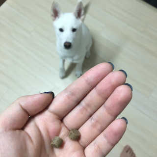 DabokJeong님이 올린 리뷰 사진 2