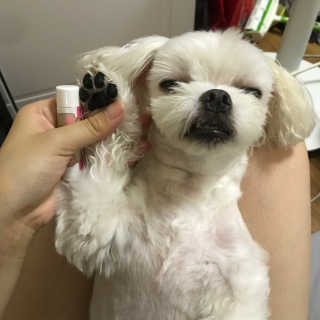 sunnnyef님이 올린 리뷰 사진 1