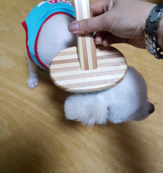 밍크찡님이 올린 리뷰 사진 2
