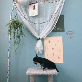 순대엄마님이 올린 리뷰 사진 3