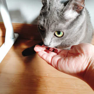 쿠로님이 올린 리뷰 사진 3
