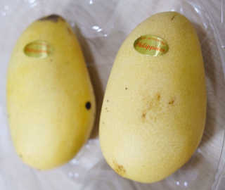 순이츠님이 올린 리뷰 사진 2
